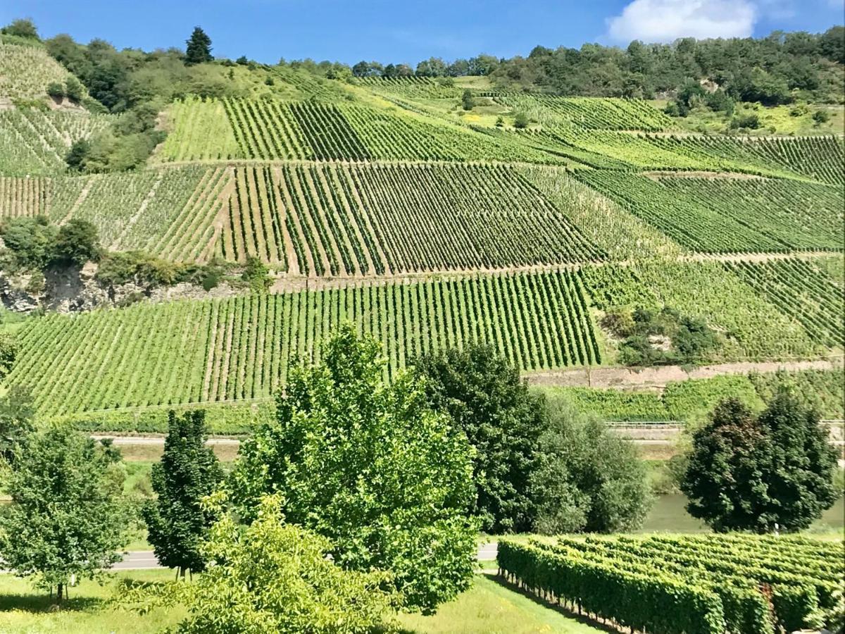 KöwerichWeinlofts An Der Mosel Mit E10 Ladestationアパートメント エクステリア 写真