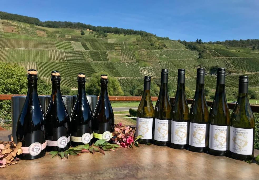 KöwerichWeinlofts An Der Mosel Mit E10 Ladestationアパートメント エクステリア 写真